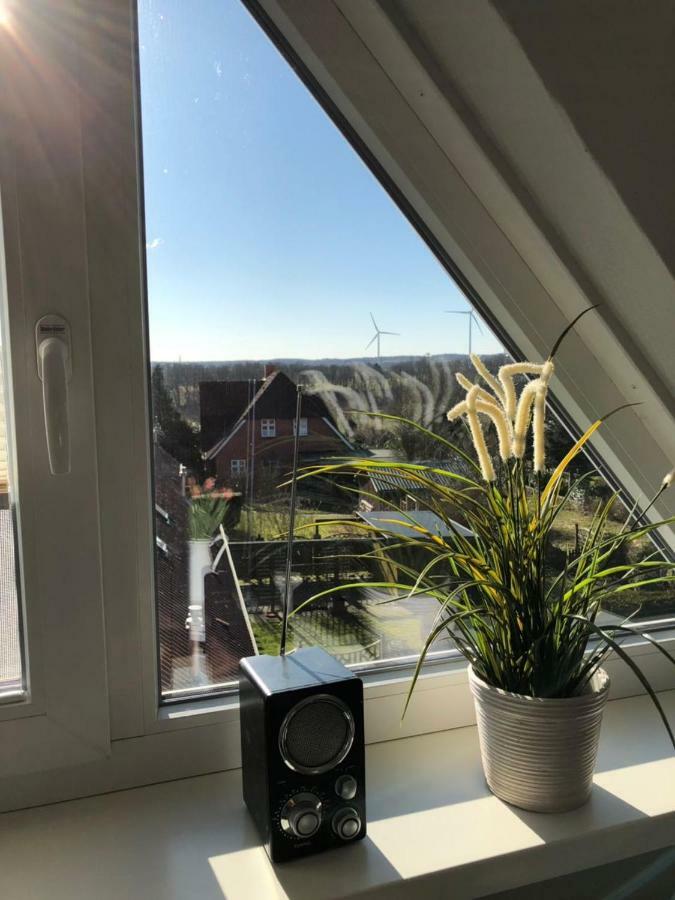 Gemuetliche Ferienwohnung Im Luftkurort Albersdorf  エクステリア 写真